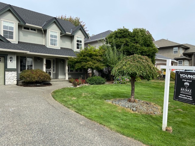 A fully renovated backyard with lush greenery, modern pathways, and a well-organized layout.