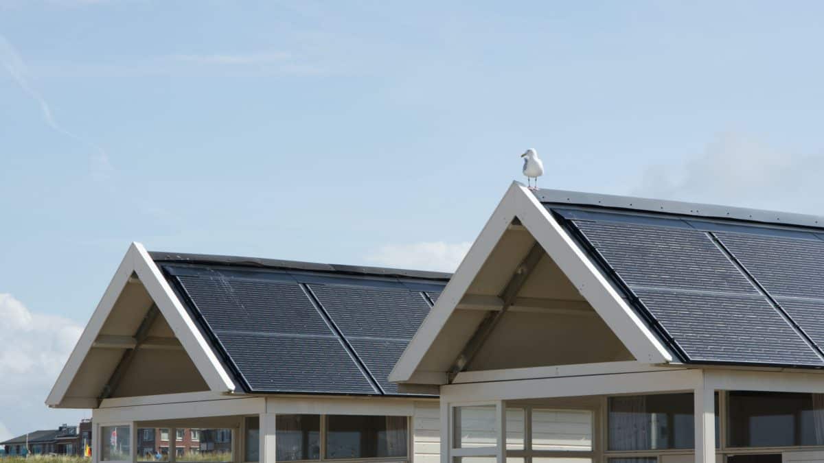 Eco-friendly home with solar panels on roof and energy-efficient windows.