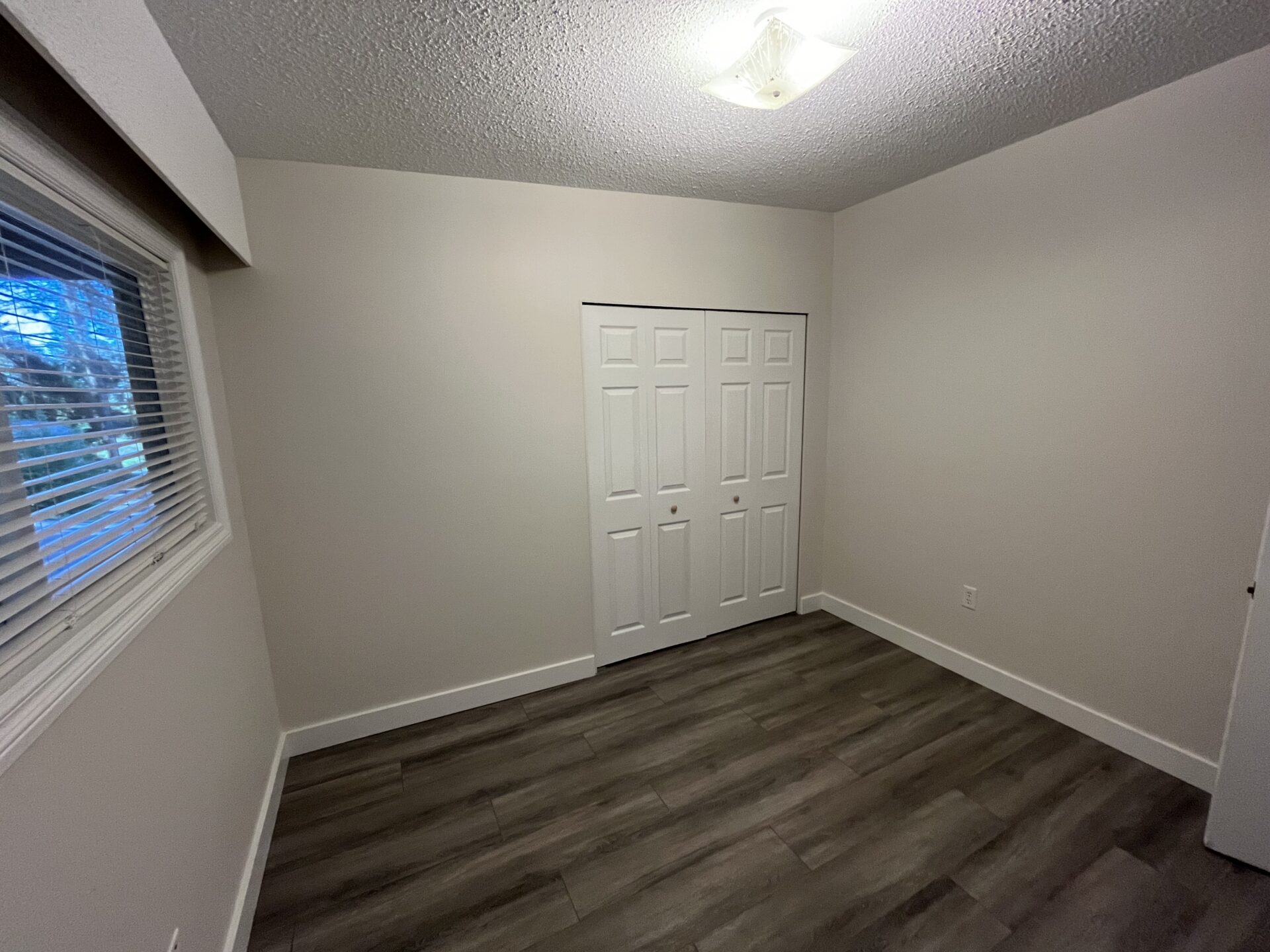Home Paint After