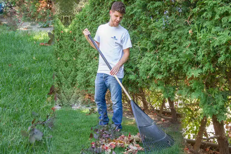 Seasonal landscaping cleanup — Tri Cities
