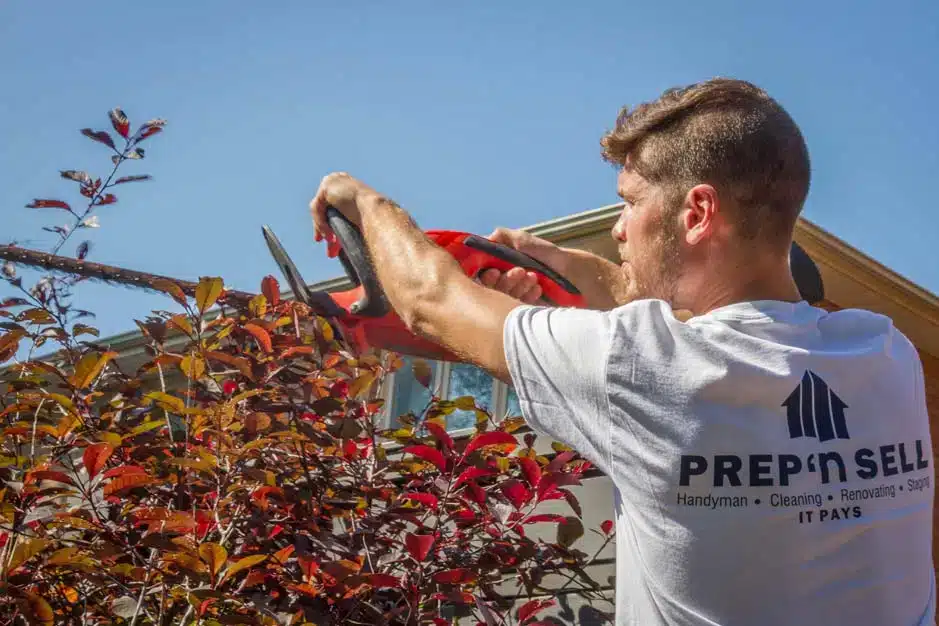 Edging, mulch, and shrub shaping — Etobicoke