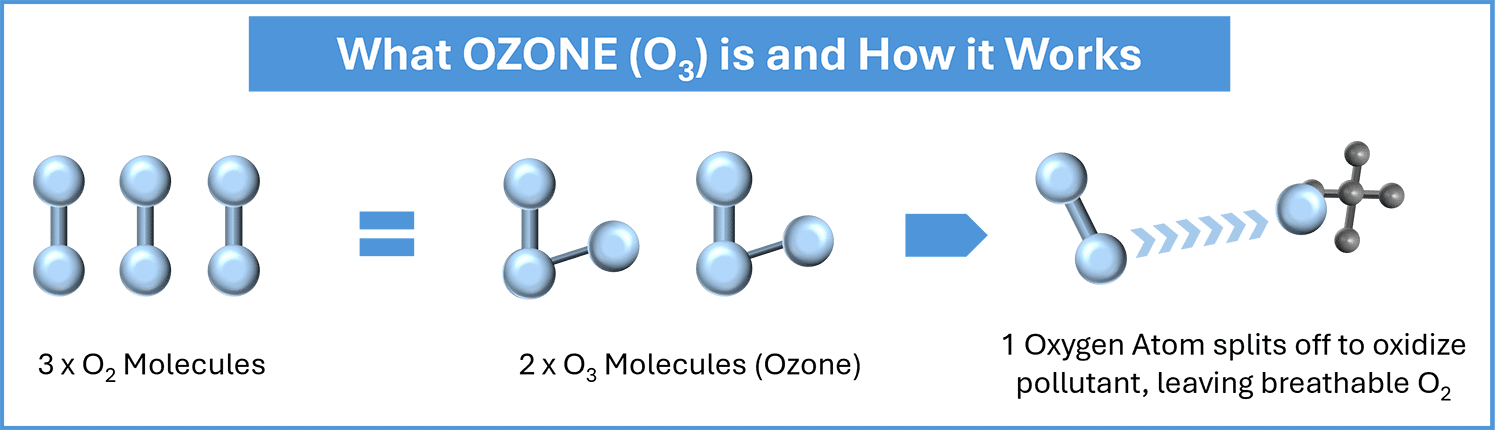 How ozone eliminates odours at the source
